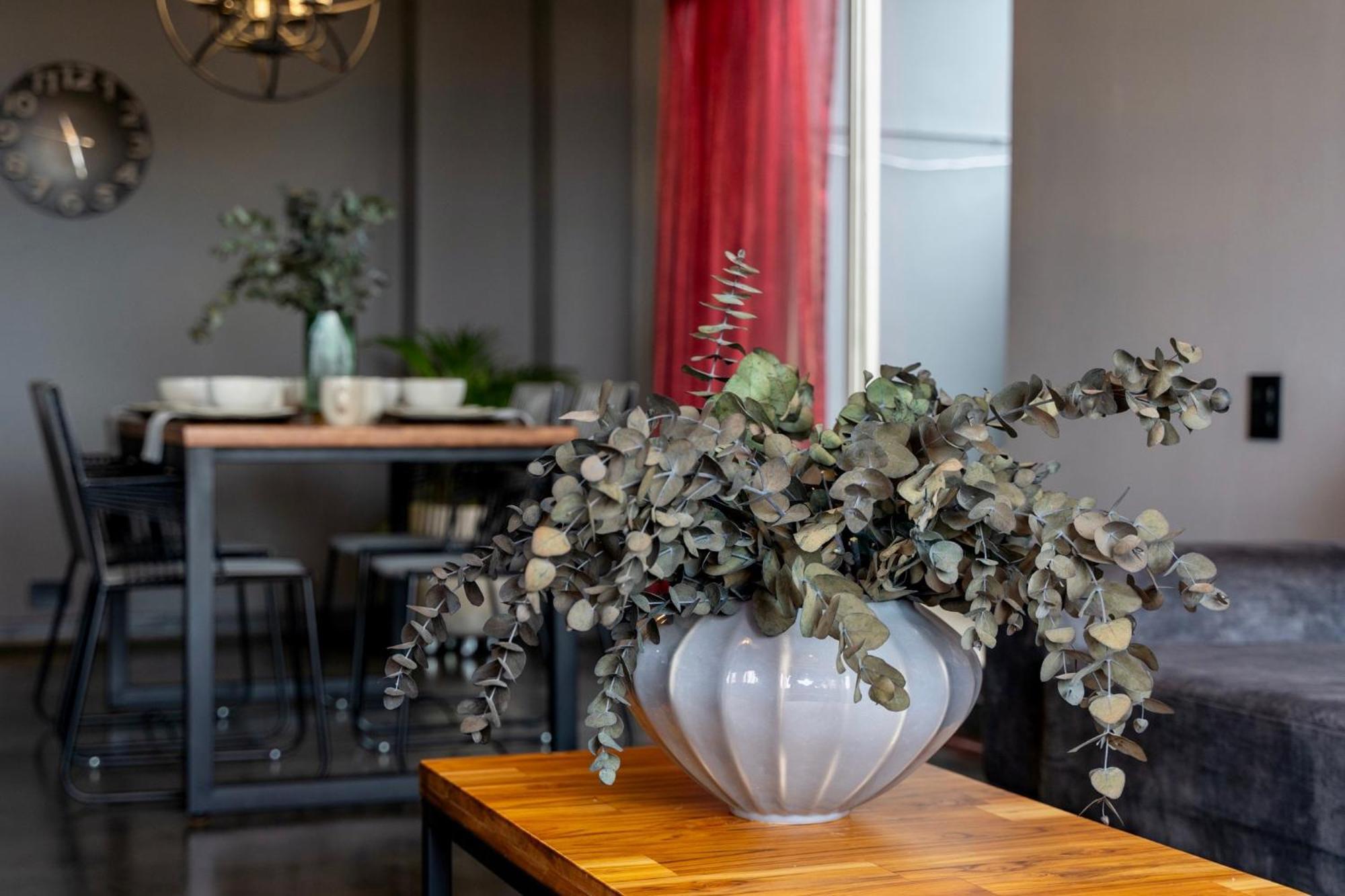 Hotel Osve Boutique 卡利 外观 照片